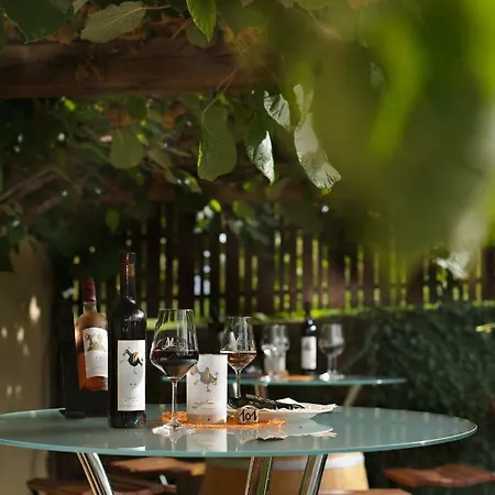 بيت ريفي Wein-domizil Brennofen