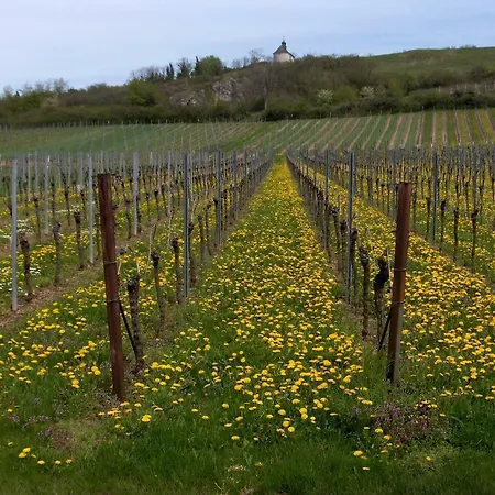 بيت ريفي Wein-domizil Brennofen Ilbesheim bei Landau in der Pfalz