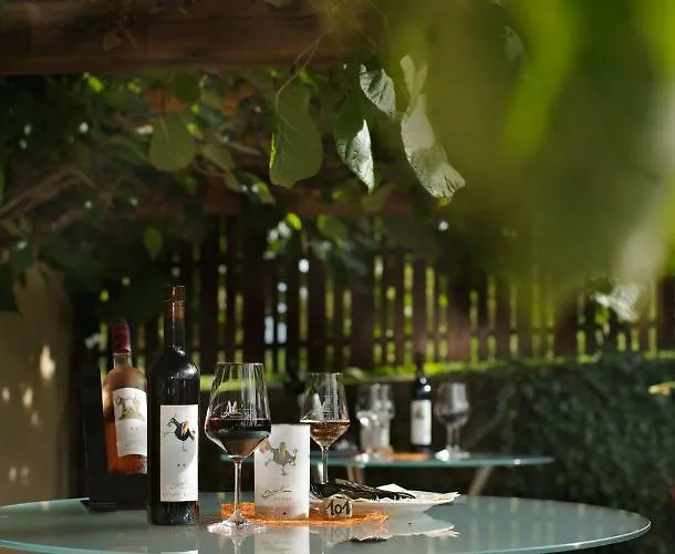 Mini-hôtel Wein-domizil Brennofen