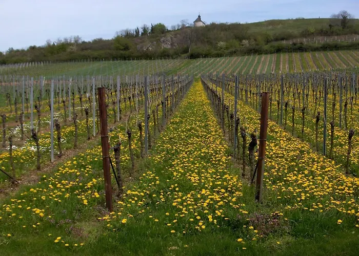 Πανδοχείο Wein-domizil Brennofen Ilbesheim bei Landau in der Pfalz